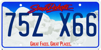 SD license plate 75ZX66
