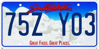 SD license plate 75ZY03
