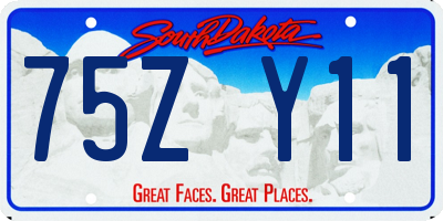 SD license plate 75ZY11