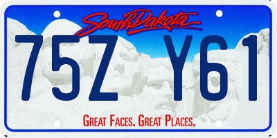 SD license plate 75ZY61