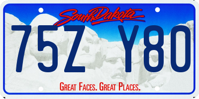 SD license plate 75ZY80
