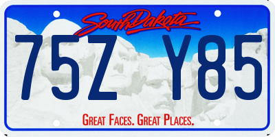 SD license plate 75ZY85