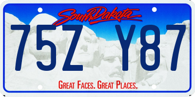 SD license plate 75ZY87