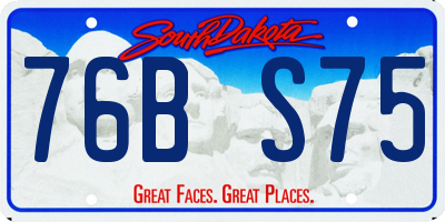 SD license plate 76BS75