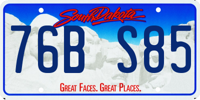 SD license plate 76BS85