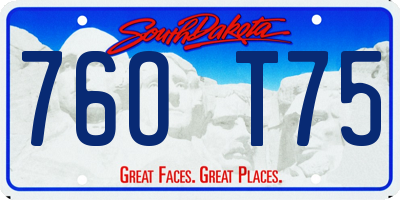 SD license plate 76OT75