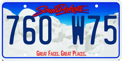 SD license plate 76OW75