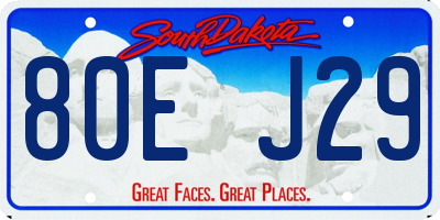 SD license plate 80EJ29