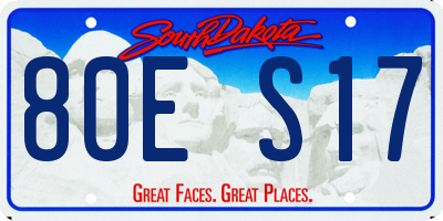SD license plate 80ES17