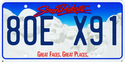 SD license plate 80EX91