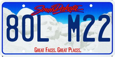 SD license plate 80LM22