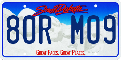 SD license plate 80RM09
