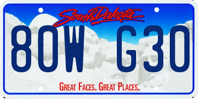SD license plate 80WG30