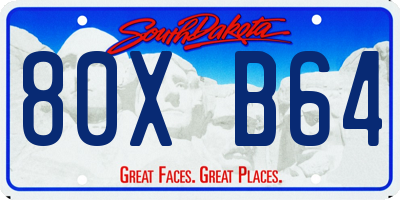 SD license plate 80XB64