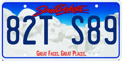 SD license plate 82TS89