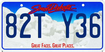 SD license plate 82TY36
