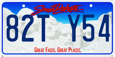 SD license plate 82TY54