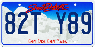 SD license plate 82TY89