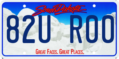 SD license plate 82UR00