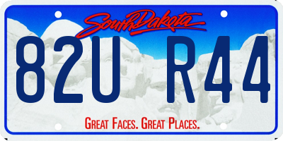 SD license plate 82UR44