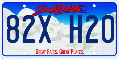 SD license plate 82XH20