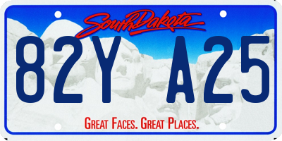 SD license plate 82YA25