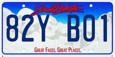 SD license plate 82YB01