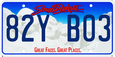 SD license plate 82YB03