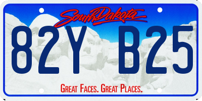 SD license plate 82YB25