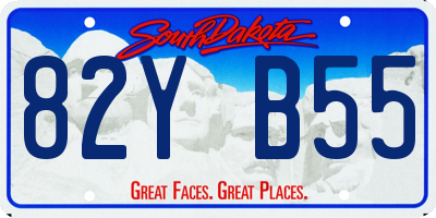SD license plate 82YB55