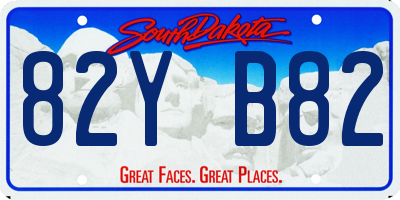 SD license plate 82YB82