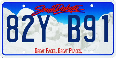 SD license plate 82YB91