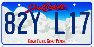 SD license plate 82YL17