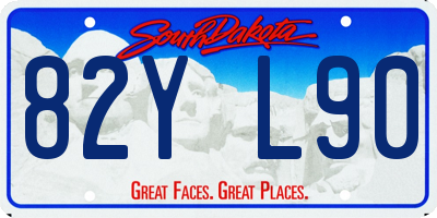 SD license plate 82YL90
