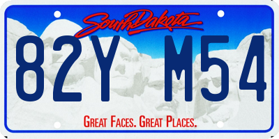 SD license plate 82YM54