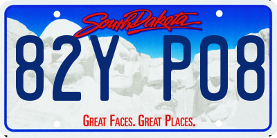 SD license plate 82YP08