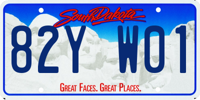 SD license plate 82YW01