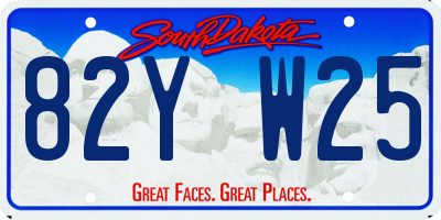 SD license plate 82YW25