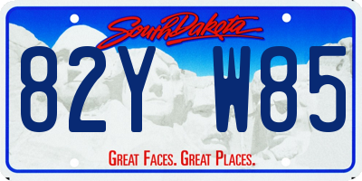 SD license plate 82YW85