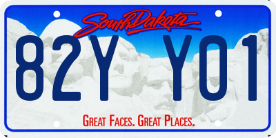SD license plate 82YY01