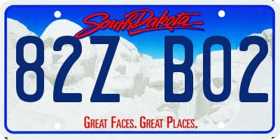 SD license plate 82ZB02
