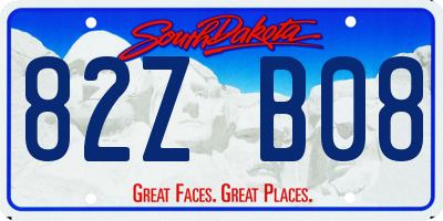 SD license plate 82ZB08