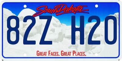 SD license plate 82ZH20