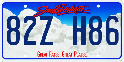 SD license plate 82ZH86