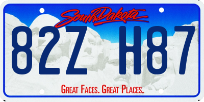 SD license plate 82ZH87