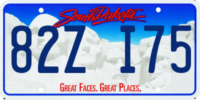 SD license plate 82ZI75