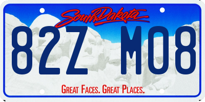 SD license plate 82ZM08
