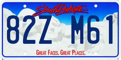 SD license plate 82ZM61