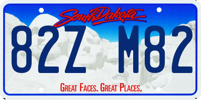 SD license plate 82ZM82