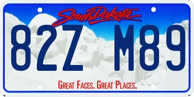 SD license plate 82ZM89